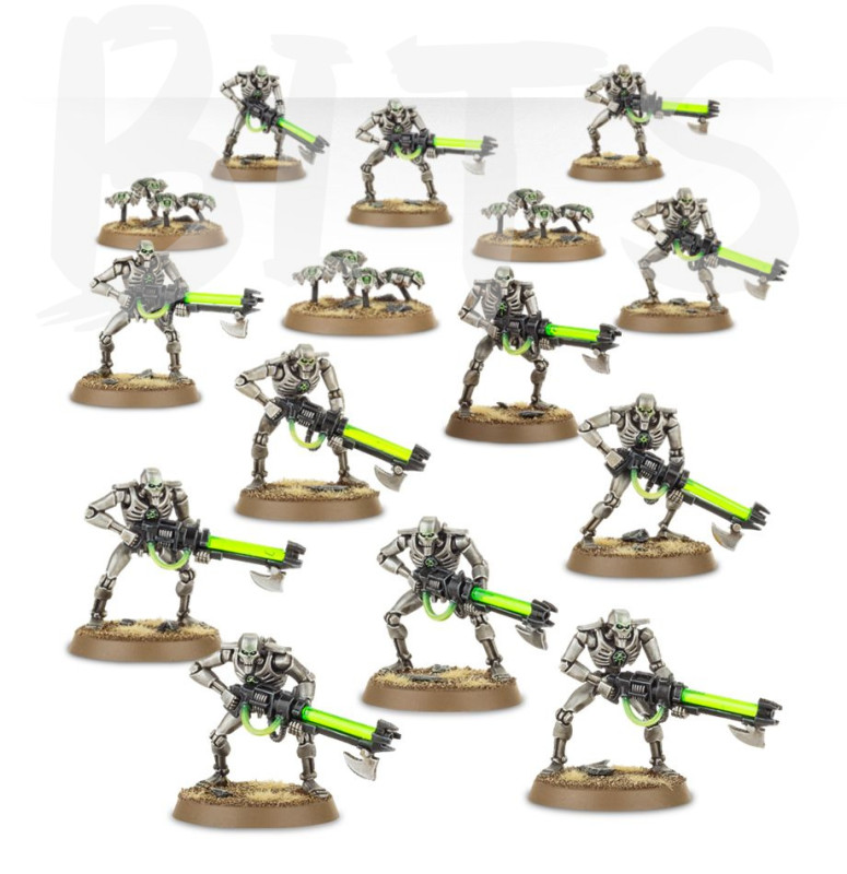 Necron Warriors with Canoptek Scarabs bits