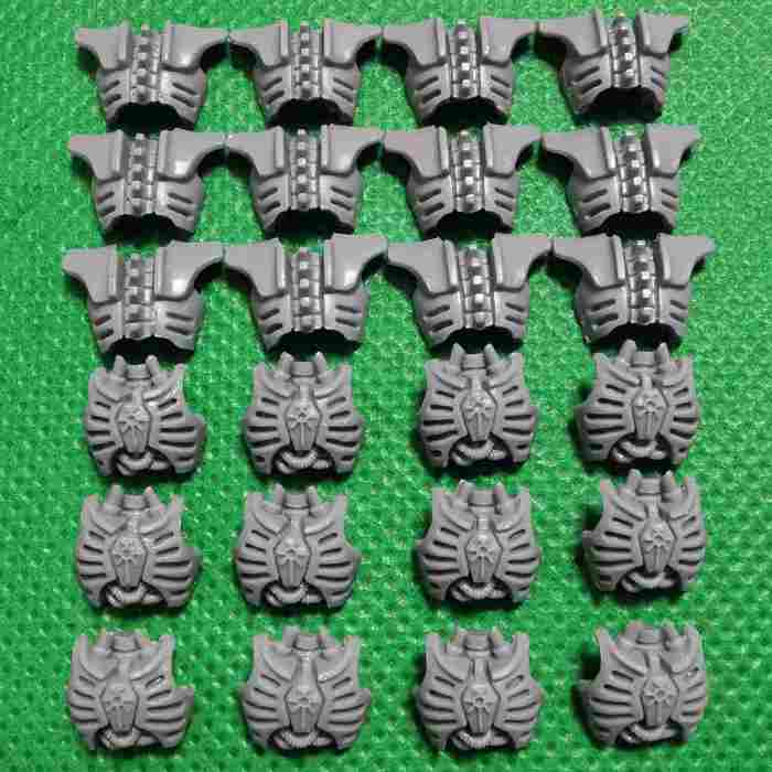 Necron Warriors with Canoptek Scarabs