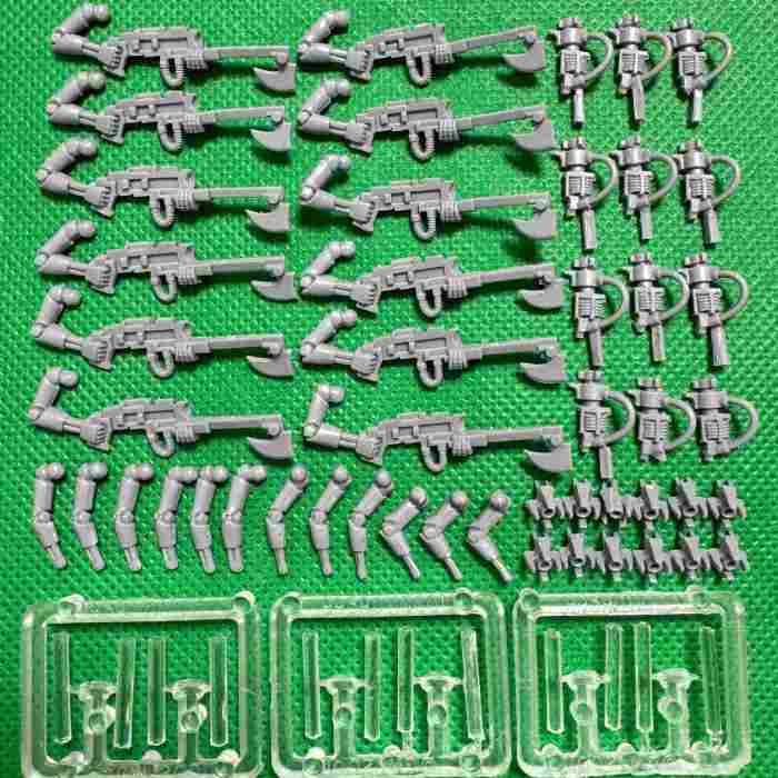 Necron Warriors with Canoptek Scarabs