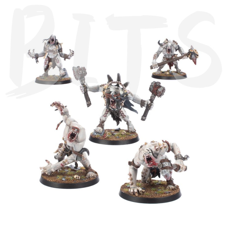 Warcry: Gorger Mawpack bits