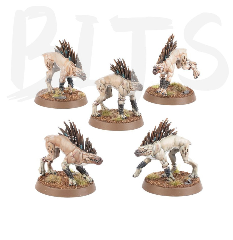 Tau Kroot Hounds bits