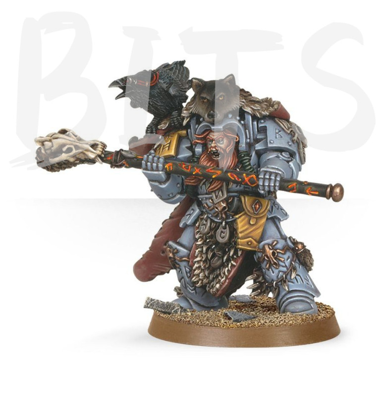 Space Wolves Njal Stormcaller in Terminator Armour bits
