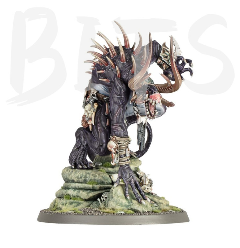 Slaves to Darkness Darkoath Wilderfiend bits