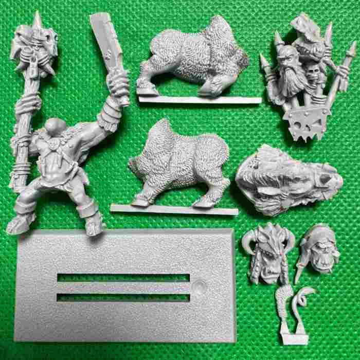 Orc Shamans