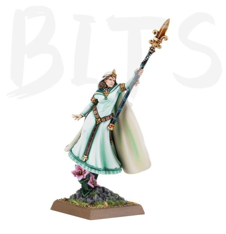 Handmaiden of the Lady bits