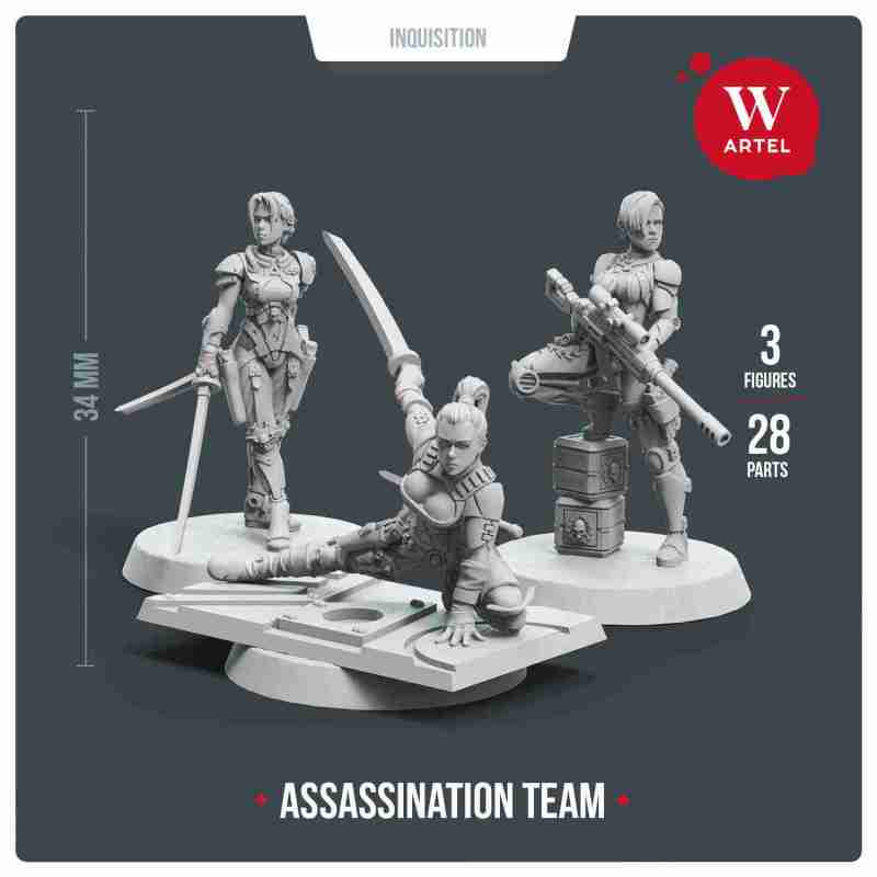 Assassination Team