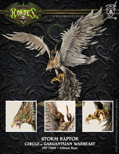 Storm Raptor - pip72089