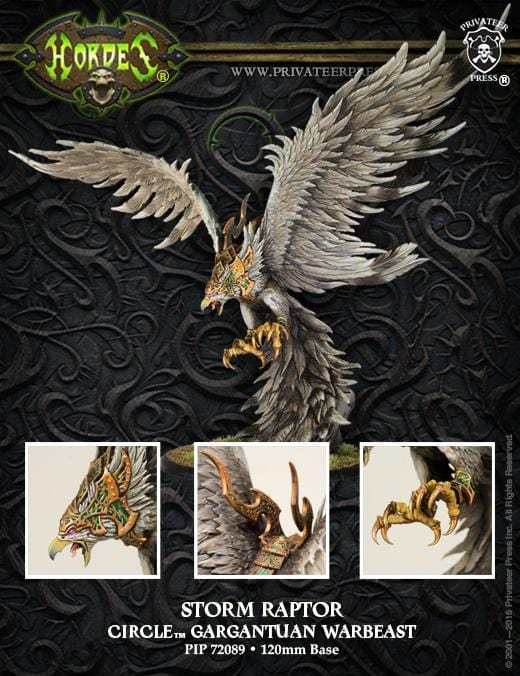 Storm Raptor - pip72089