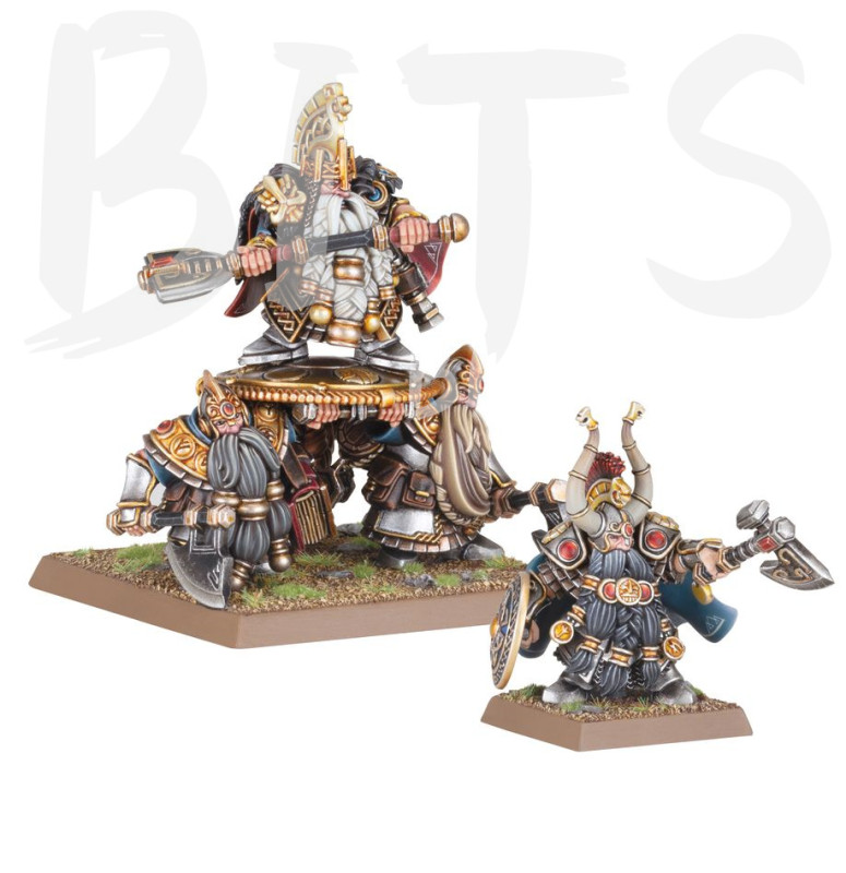 Dwarf Lords With Shieldbearers bits