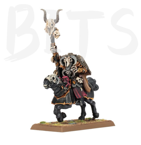 Sorcerer of Chaos on Chaos Steed bits