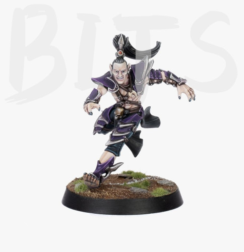 Blood Bowl Jeremiah Kool bits