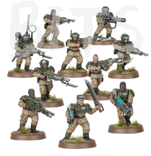 Cadian Shock Troops