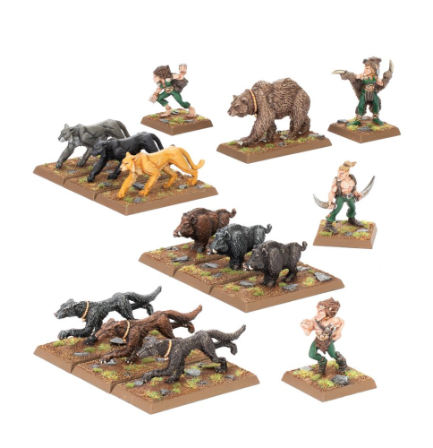 Wood Elf Beast Pack Bits