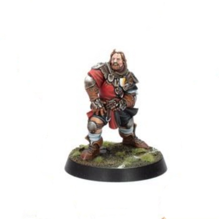 Bretonnian Blood Bowl Team: The Brionne Barons