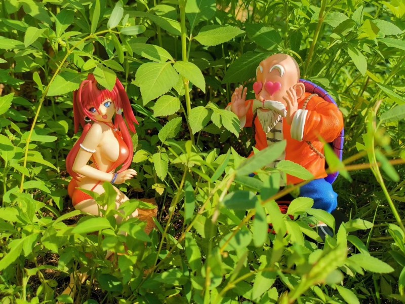 【Pre order】SJM-Studio Dragon Ball Master Roshi Wcf Scale Resin Statue Deposit