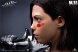 【Pre order】Queen Studio Alita: Battle Angel Life size Bust Resin Statue Deposit（Copyright）