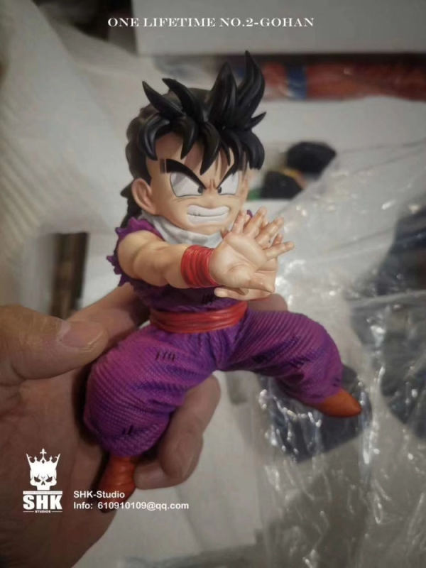【In Stock】SHK Studio Dragon Ball Z The Lifetime Of Gohan Resin Statue