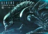 【Pre order】Prime 1 Studio PMDHAL-05S TUSKED ALIEN BONUS VERSION (DARK HORSE COMICS) Resin Statue Deposit（Copyright）
