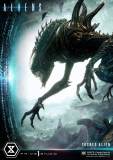 【Pre order】Prime 1 Studio PMDHAL-05S TUSKED ALIEN BONUS VERSION (DARK HORSE COMICS) Resin Statue Deposit（Copyright）