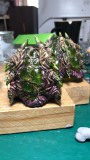 【Pre order】Toys Evolution Assassination Battle-01 Resin Statue Deposit