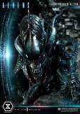 【Pre order】Prime 1 Studio PMDHAL-05S TUSKED ALIEN BONUS VERSION (DARK HORSE COMICS) Resin Statue Deposit（Copyright）