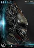 【Pre order】Prime 1 Studio PMDHAL-05S TUSKED ALIEN BONUS VERSION (DARK HORSE COMICS) Resin Statue Deposit（Copyright）