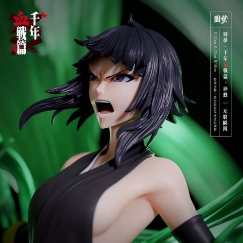【In Stock】Bleach Dream Studio BLEACH Soi Fon 1/6 resin statue