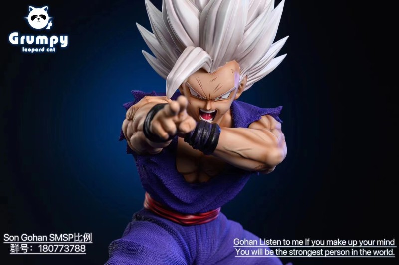 【Pre order】Grumpy Icopard cat Studio Dragon Ball Beast Gohan Resin statue