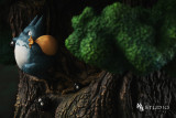 【Pre order】ShenYin Studio My Neighbor Totoro