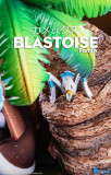 【Pre order】PcHouse Studio Blastoise Family
