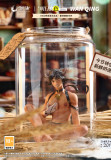 【Pre order】Tidal Surge Studio 1/6 WAN QING