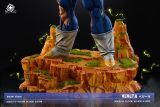 【Pre order】Dream Studio 1/6 & 1/3 Majin Vegeta or Vegeta