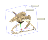 【Pre order】JiGuang Studio 1/6 & 1/4 Heaven' Lo t Property Icarus