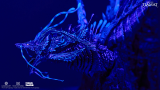 【Pre order】Spiral Studio - Titanus Tiamat