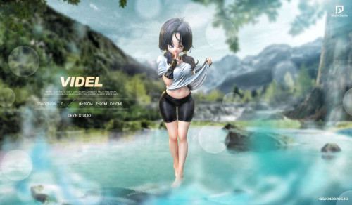 【Pre order】Deyin Studio 1/6 & 1/4 Dragon Ball Videl