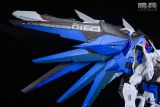 【Pre order】Schildwache Studio 1/35 Freedom Gundam