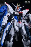 【Pre order】Schildwache Studio 1/35 Freedom Gundam
