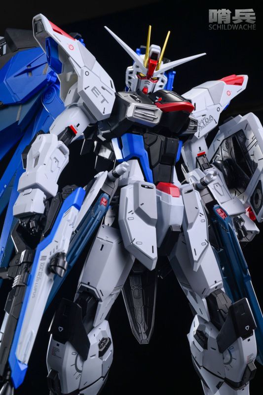 【Pre order】Schildwache Studio 1/35 Freedom Gundam