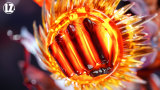 【In Stock】LZ Studio POP One Piece Gear 4 Luffy
