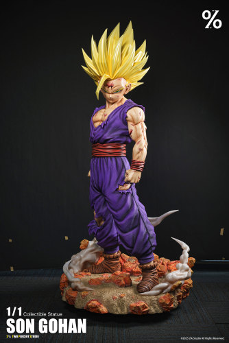 【Pre order】2% Studio 1/1 Dragon Ball Son Gohan