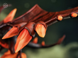 【Pre order】61 Studio 1/20 Pokemon Aerodactyl