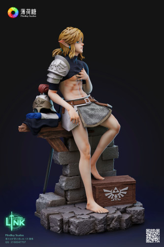 【Pre order】MintBoy Studio 1/6 The Legend of Zelda Training Soldier Link