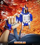 【Pre order】Lue Ying Studio - Beyblade Hiwatari Kai