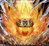 【Pre order】Lue Ying Studio - HITMAN REBORN! Sawada Tsunayoshi