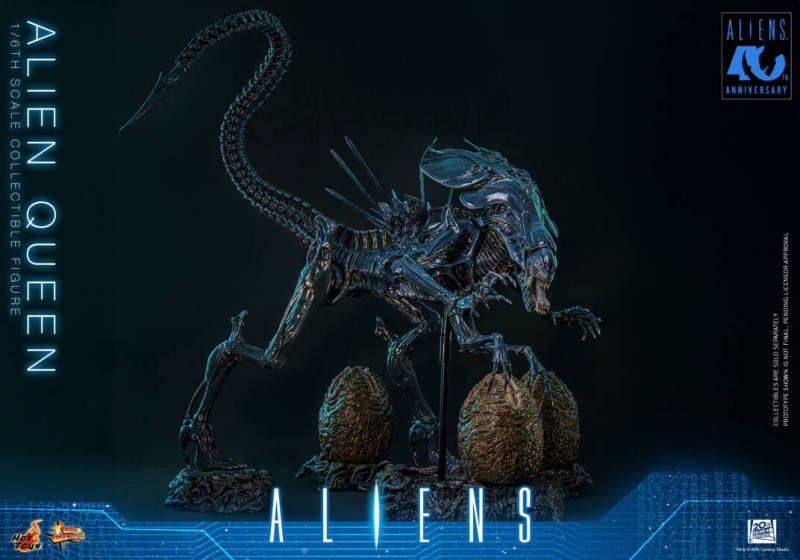 【Pre order】Hot Toys Studio 1/6 Aliens Alien Queen  Collectible Figure MMS903 (Licensed)
