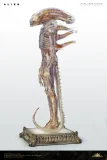 【Pre order】Deep Tale Studio 1/3 H.R. Giger’s Alien