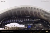 【Pre order】Deep Tale Studio 1/3 H.R. Giger’s Alien