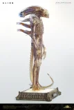 【Pre order】Deep Tale Studio 1/3 H.R. Giger’s Alien