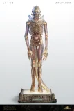 【Pre order】Deep Tale Studio 1/3 H.R. Giger’s Alien