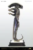 【Pre order】Deep Tale Studio 1/3 H.R. Giger’s Alien